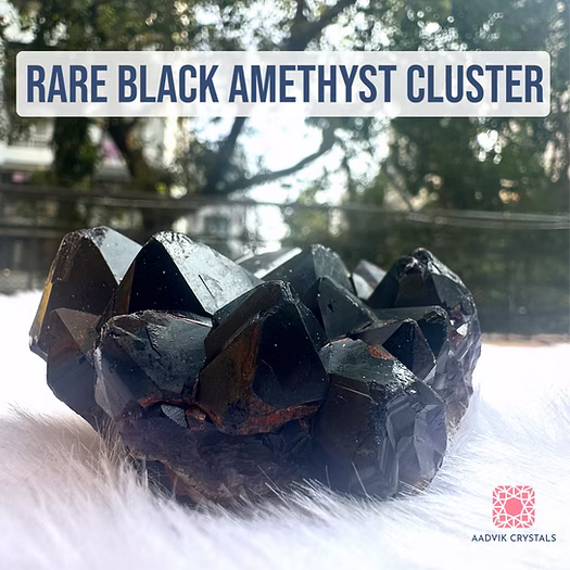 Rare Black Amethyst Cluster