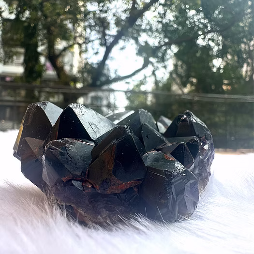 Rare Black Amethyst Cluster