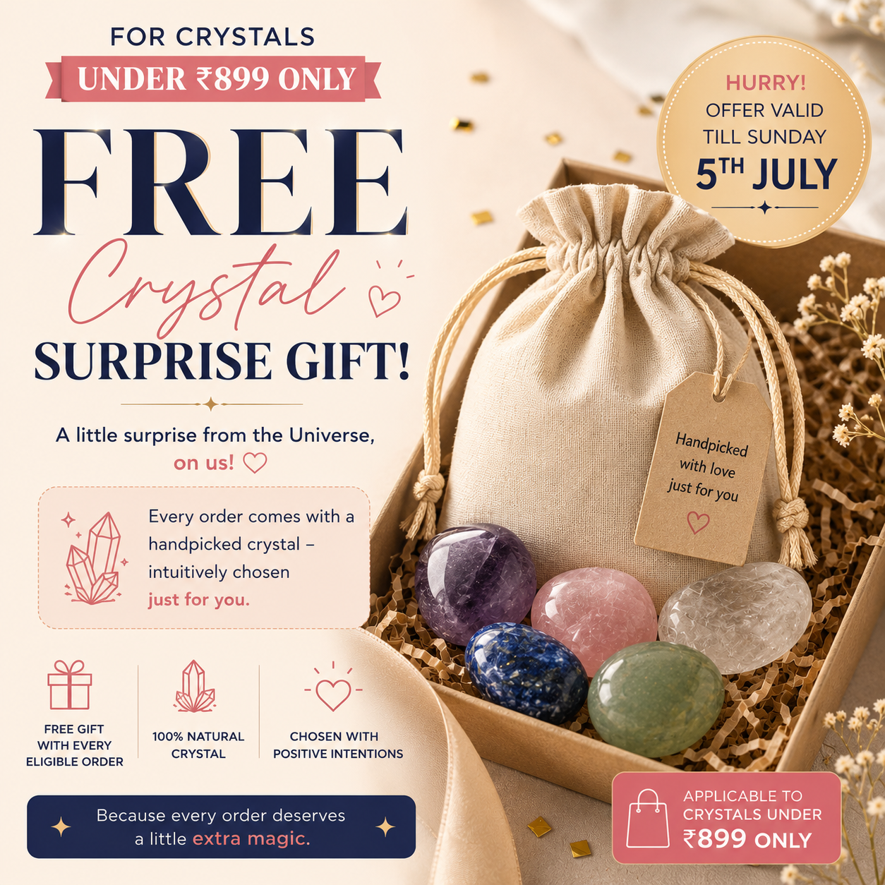🎁 Surprise Gift (100% off)