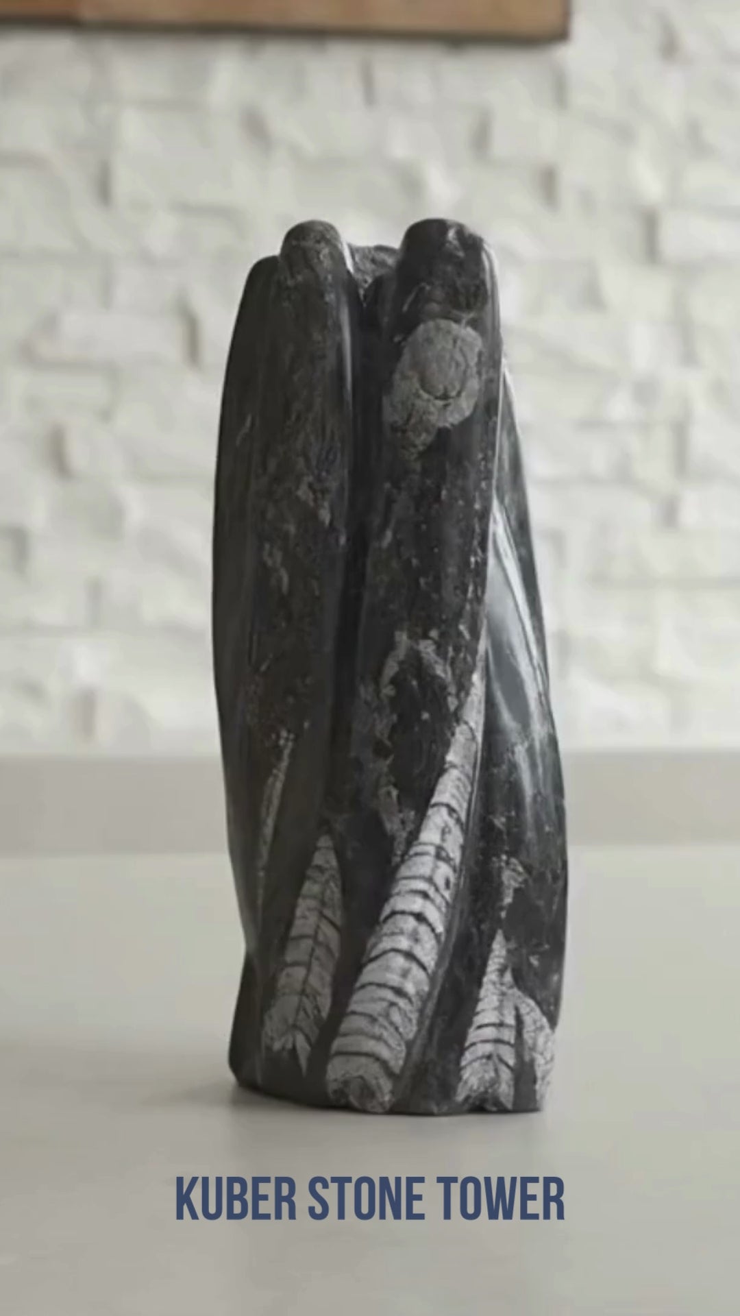 Kuber Stone Tower (Orthoceras) – Wealth, Stability & Ancient Fossil Energy | Aadvik Crystals